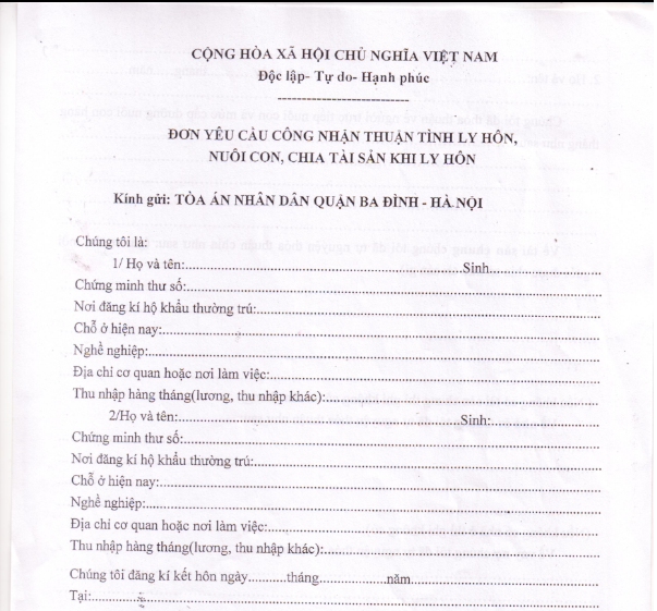 cách viết thông tin cơ bản trong đơn xin ly hôn thuận tình