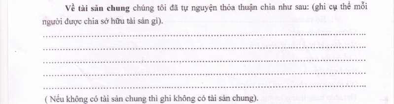 cách viết về tài sản chung khi viết đơn ly hôn thuận tình