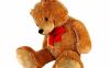 THIẾT BỊ ĐỊNH VỊ GPS GẤU BÔNG TEDDY