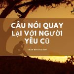 101+ câu nói quay lại với người yêu cũ chạm đến trái tim