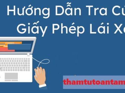 Hướng dẫn tra cứu giấy phép lái xe